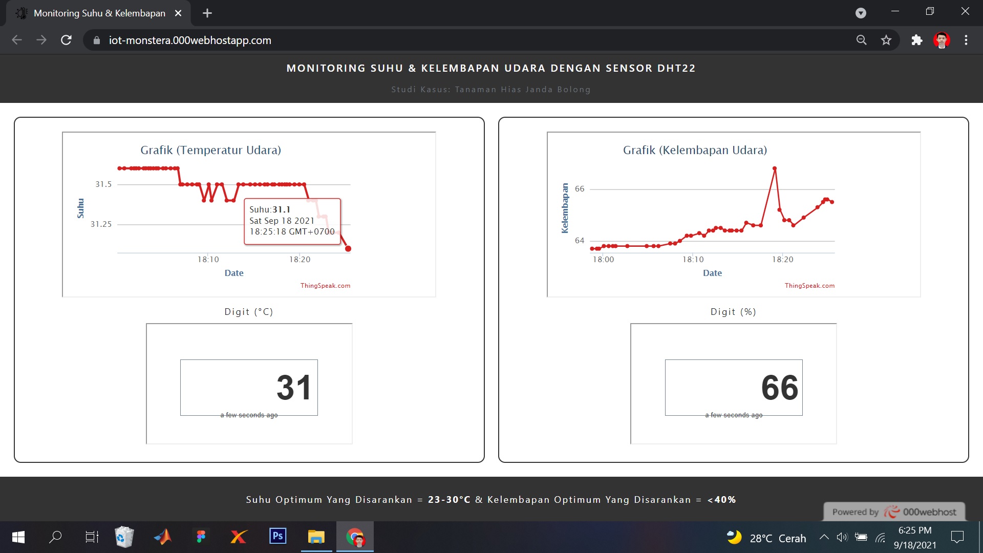 monitoring-web-view